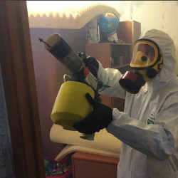 Уничтожение клопов в квартире. Пестово